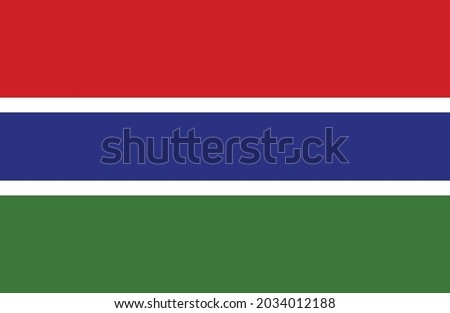 Gambia flag vector illustration. National flag of Gambia