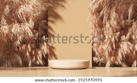 Wooden Podium with dry pampas grass for product promotion and cosmetics display, sunshade on the scene, Natural beauty pedestal, and minimal copy space banner. realistic rendering. 3d illustration. Photo stock © 