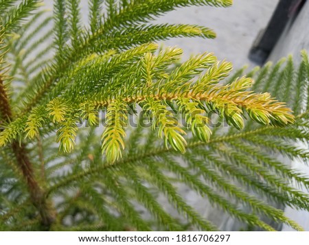 Shutterstock Puzzlepix Shutterstock Puzzlepix