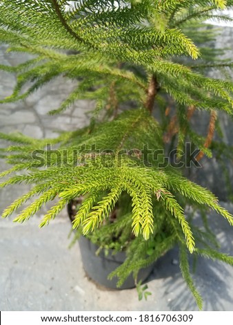 Shutterstock Puzzlepix Shutterstock Puzzlepix
