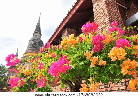 Historic buildings and colorful flowers 商業照片 © 
