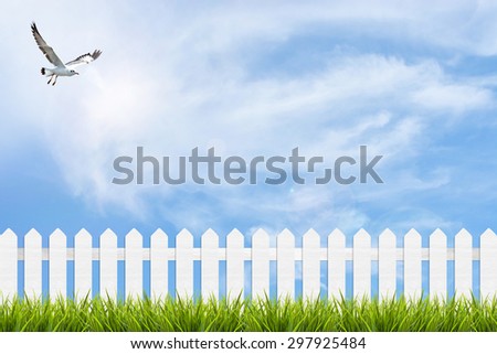 Bird fly over fresh green grass and white wooden fence under blue sky ,clouds and sunlight of summer background