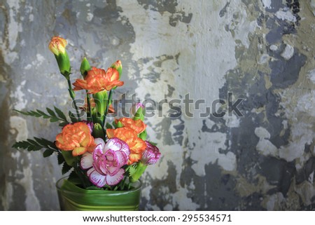 Colorful flowers and wall black background