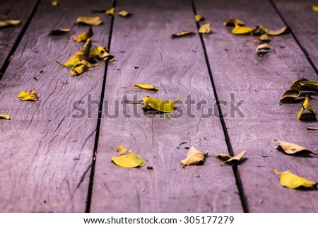 yellow wet autumn leave on wood background