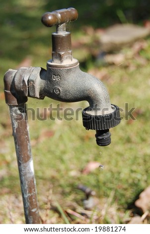 A garden tap leaks water in the afternoon sunlight