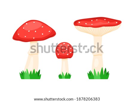 Similar – Image, Stock Photo fly agaric Mushroom