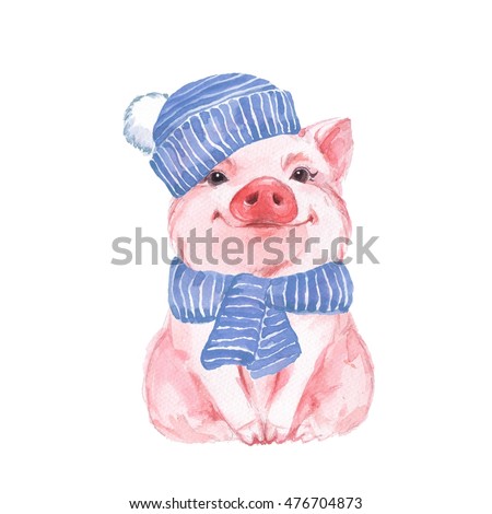 Funny pig in a blue hat and scarf. Cute watercolor illustration 