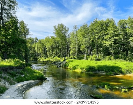 Similar – Image, Stock Photo Small river in the Winter