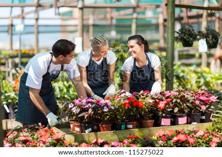 group of garden workers working in nursery