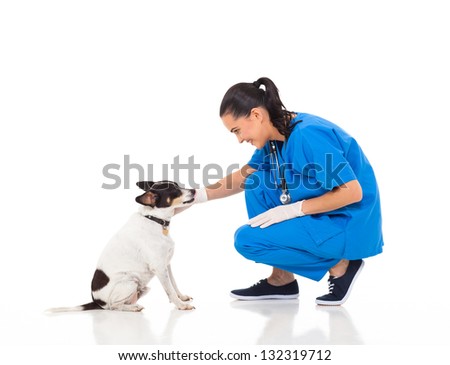 veterinarian female doctor playing with pet dog