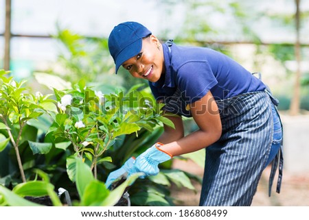 beautiful afro american woman working in nursery garden