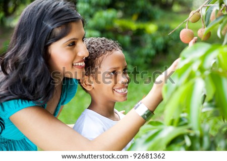 happy young mother and son looking at litchis in litchi orchard