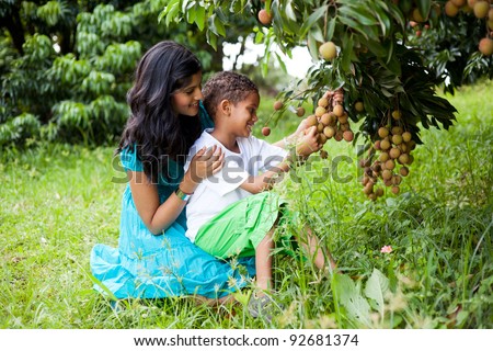 young happy mother and son picking litchis in litchi orchard