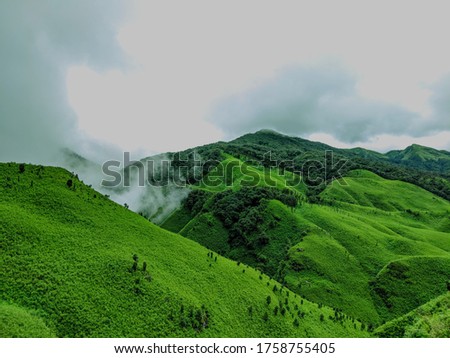 Shutterstock Puzzlepix