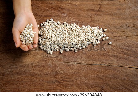 Close up Chinese herb pearl barley in kid hand on grunge hard table