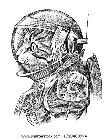 Cat dressed up in astronaut. Spaceman or cosmonaut in spacesuit. Fashion Animal character. Space sketch. Hand drawn Anthropomorphism. Vector engraved illustration for label or logo, T-shirts or tattoo 商業照片 © 