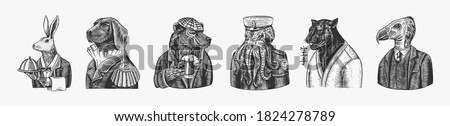 Grizzly Bear with a beer mug. Octopus sailor and Hare or Rabbit waiter. Dog officer and bird. Black panther and Bee biker. Japanese text means: karate. Fashion animal character. Hand drawn sketch.