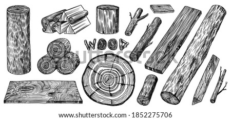 Wood set. Planks and logs, lumber and Cuts, Firewood in vintage style. Pieces of Tree. Vector illusion for signboard, labels, logo or banner. Campfire material. Engraved Hand drawn sketch. Stockfoto © 
