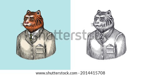 Tiger character. Beast doctor. Fashionable animal, vitorian gentleman in a jacket. Hand drawn Engraved old monochrome sketch. Vector illustration for t-shirt, tattoo or badge or print.