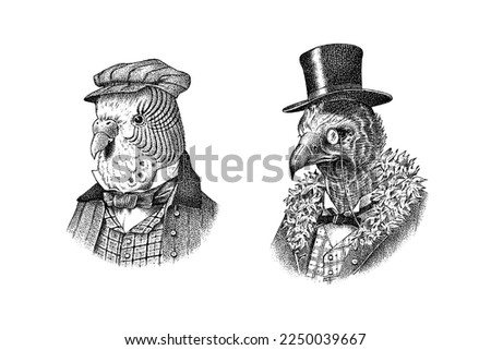 Cinereous vulture character with monocle in a hat. Budgerigar or common parrot, shell parakeet. Fashionable Aristocrat or Rich Man. Hand drawn bird. Engraved old monochrome sketch.