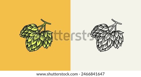 Barley, malt and hops. Beer of oktoberfest. Engraved in ink hand drawn in old sketch and vintage style for web or pub menu. design element isolated on white background.