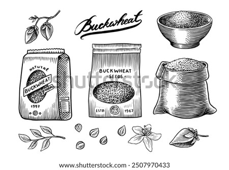  Collection of buckwheat. Engraved, hand drawn plant and buckwheat groats. Grass cereal crops outline icon set vector illustration. Ink and clipart style. Line hand drawing agriculture.