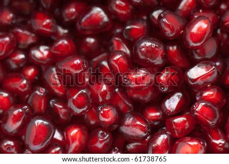 Macro of peeled ripe seeds pomegranate isolated