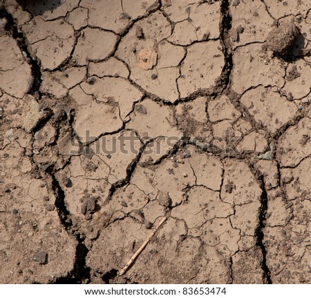 dried ground covered with cracks. background for design