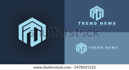 Abstract initial hexagon letters TN or NT logo in blue color isolated on multiple background colors. The logo is suitable for news network logo design illustration inspiration templates.