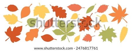 Similar – Image, Stock Photo Autumnal trees at a small lake are reflected in the water. Falling leaves of different colours lie under the trees and in the water