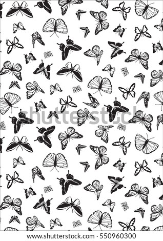 Butterfly Wing Outline | Free download on ClipArtMag