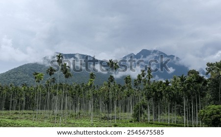 Similar – Image, Stock Photo Mountains and plantations against endless ocean in countryside