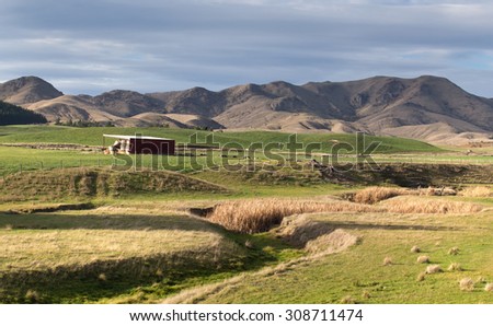 Farm Pasture in New Zealand with paddocks and trees