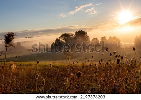 Sunrise in the Biebrza National Park. Foggy morning. The sun is shining through the fog. Trees in the fog. September in Podlasie Zdjęcia stock © 