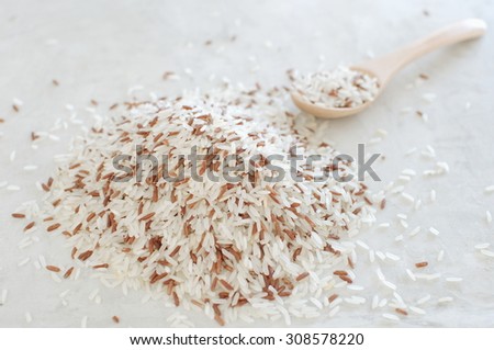 Rice grain in the wood spoon put on concrete table with color and selected focus