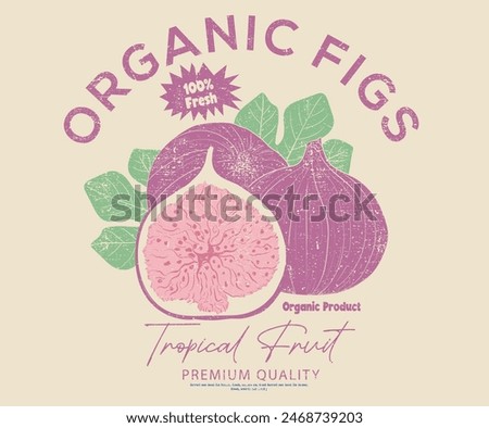 Organic fig fruit print. Nature fruit club print design. Organic food artwork for for t-shirt. Fruit vintage t-shirt design. Fig farm artwork. Fresh farm design.