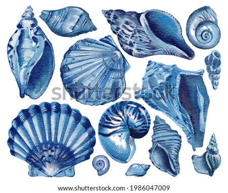 Set of blue seashells - conch, shell, and cockle-shell. Sea shells watercolor hand drawn illustration set isolated on white background for banner, poster, print, postcard, textile, template, card 商業照片 © 