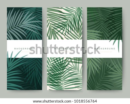 Branding Packaging palm coconut bamboo tree leaf nature background, logo banner voucher, spring summer tropical, vector illustration