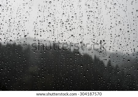 raindrops on glass on the background of the forest