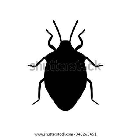 Insect silhouette. shield bug. Palomena prasina. Sketch of shield bug.silhouette  shield bug isolated on white background. shield bug Design for coloring book.shield bug. Vector illustration