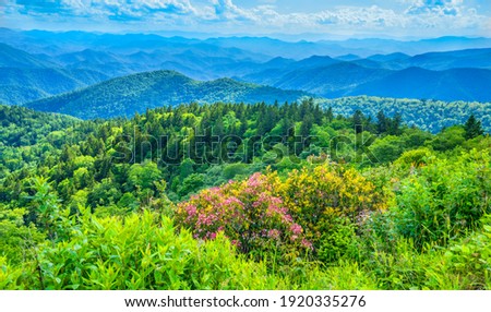 Shutterstock Puzzlepix