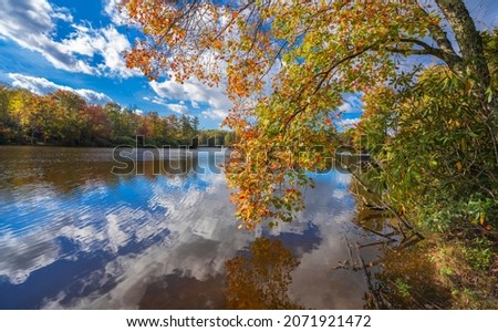 Similar – Image, Stock Photo The lake in the summer