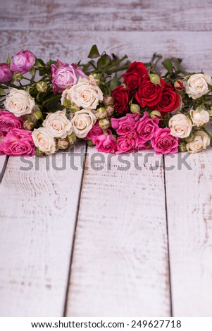 Bouquet of colorful little roses. Copy space.