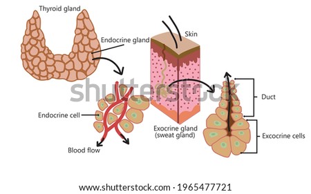 Shutterstock Puzzlepix