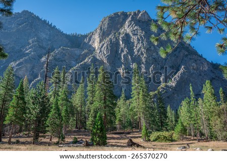 This is a mountain view in Sequoia National Forest in transit to Kings Canyon National Park.