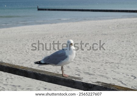 Similar – Image, Stock Photo See Baltic Sea