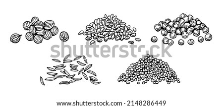 Seeds of seasonings and spices, sesame, pepper, poppy seeds, cumin, coriander. Vector illustration in manual doodle style