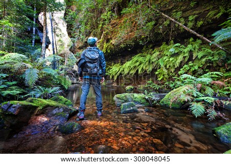 Image of a men standing at Grand Canyon track in the Blue Mountains, Sydney, NSW, Australia.