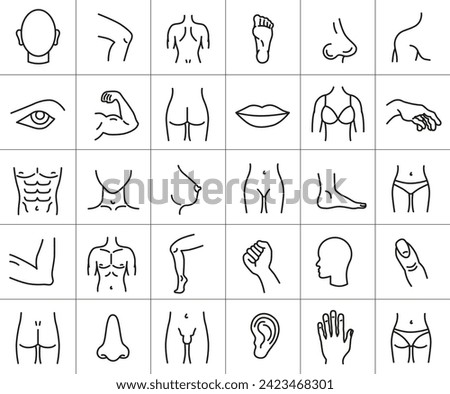 Human body parts set of linear icons. Symbols of isolines of thin lines. Anatomy. Health care. EPS 10.