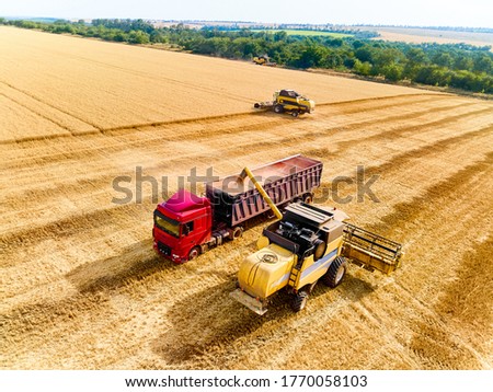 Aerial drone view. Overloading grain from combine harvesters into grain truck in field. Harvester unloder pouring harvested wheat into a box body. Farmers at work. Agriculture harvesting season.
